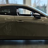 IMG_20240130_115129.jpg