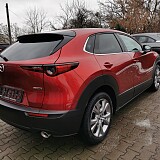 IMG_20210126_132106.jpg