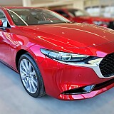 IMG_20240516_095221.jpg