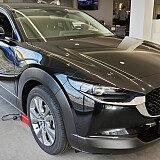 IMG_20241028_122153.jpg