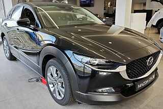 IMG_20241028_122153.jpg