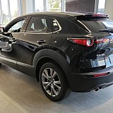 IMG_20241028_122205.jpg