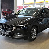 IMG_20241028_122128.jpg