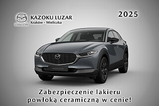 a cx30 polymetal gray homura.jpg