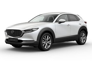 cx-30 BIAŁAS.JPG