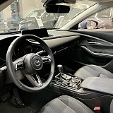 IMG_2630.jpg