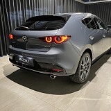 IMG_2669.jpg