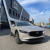 IMG_2745.jpg