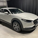 IMG_2661.jpg