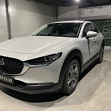 IMG_2660.jpg