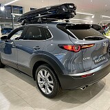 IMG_2629.jpg