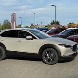 IMG_2747.jpg