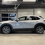 IMG_2664.jpg