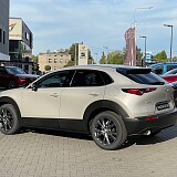 IMG_2751.jpg