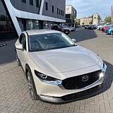IMG_2746.jpg