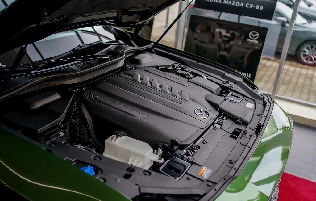 z20.jpg