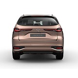 MAZDA CX-80 Homura_Melting Copper_100.jpg