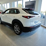 IMG_20240813_104441.jpg