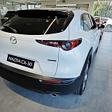 IMG_20240813_104448.jpg