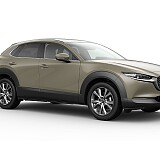 MAZDA CX-30 TAKUMI_Zircon Sand_665.jpg