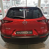 IMG_20240118_120409.jpg