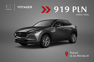 Mazda CX-30 Machine Gray.png