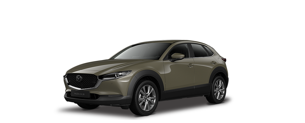 cx30zircon.png