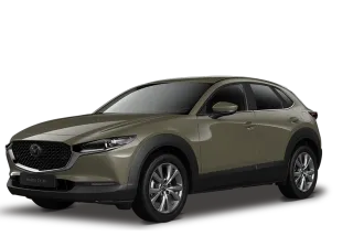 cx30zircon.png