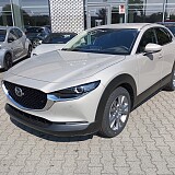 IMG_20240828_143240.jpg
