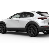 MAZDA CX-30 Homura_Snowflake White_429.jpg