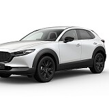 MAZDA CX-30 Nagisa_Snowflake White_535.jpg