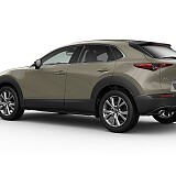MAZDA CX-30 TAKUMI_Zircon Sand_669.jpg