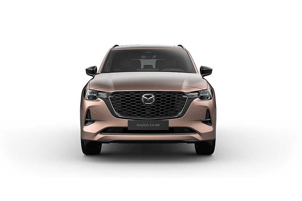 MAZDA CX-80 Homura Plus_Melting Copper_208.jpg