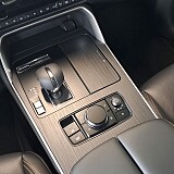 20250610_142841.jpg