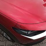 IMG_20240910_112123.jpg