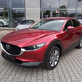 IMG_20240910_112057.jpg