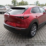 IMG_20240910_112110.jpg