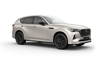 MAZDA CX-60 HOMURA PLUS_Platinum Quartz_513.jpg
