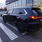 IMG20250218171127 (1).jpg