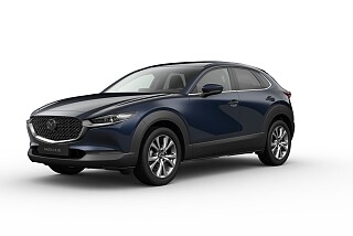 cx 30 EXclusive ganat.jpg