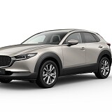 cx 30 exlusive platinum.jpg