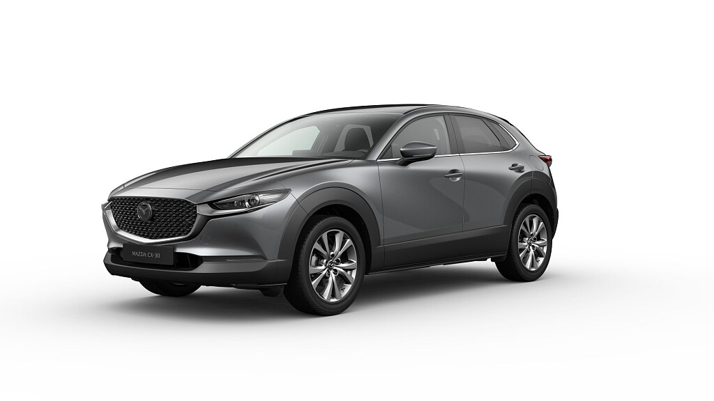 cx 30 exlusive machine gray.jpg