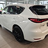 Multimedia (57).jpg