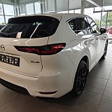 Multimedia (50).jpg