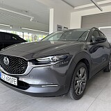 IMG_5235.JPEG