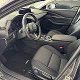 IMG_5237.JPEG