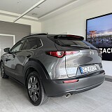 IMG_5245.JPEG