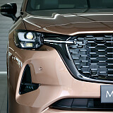 8Z3A8600.JPG