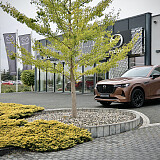 8Z3A8587.JPG