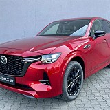 główne 46v.jpg